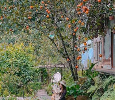 Da Lat Other | Làng Hương Village