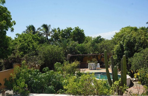 Cabo San Lucas Apartment | Large studio with private patio in Casa Cornucopia