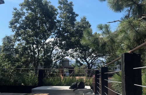 Monte Alto House | Majestuosa residencia con vistas al lago y bosque!