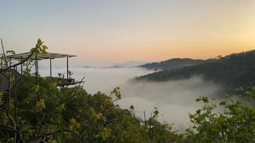 Da Lat Bed & Breakfast | Mimoza homestay, Cầu Đất - Đà Lạt