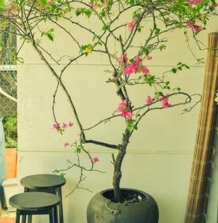 Tu Nghia House | Ngôi nhà bên cạnh bãi biển, NỒM HOME