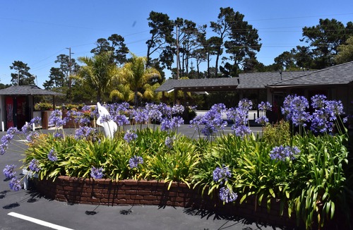 Munras Avenue Hotel | Padre Oaks