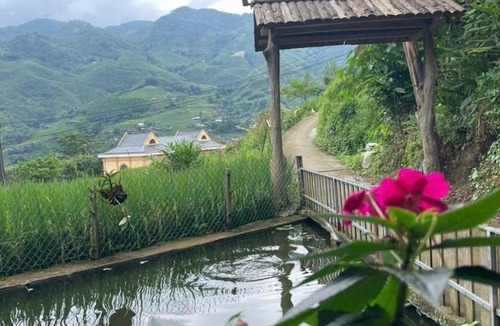 Hau Thao Bed & Breakfast | Rice Homestay's