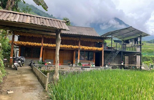 Hau Thao Bed & Breakfast | Rice Homestay's