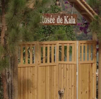 Di Linh Cabin | Rosée De Kala - A&Q Suite