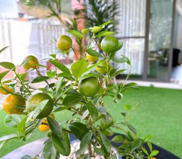Quang Ngai House | Savan homestay
