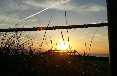 Dennis Hotel | Starlight Lodge Cape Cod