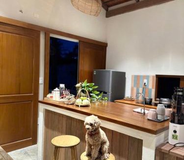 Phu My Apartment | Tổ Ong Kiến Bình Định