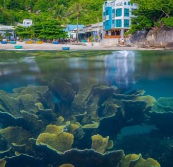 Tan Hiep House | The Coral Homestay & Pub