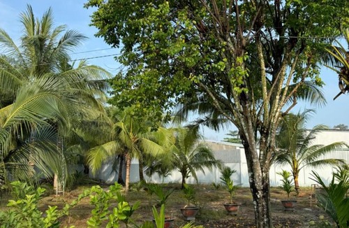 Chau Thanh House | The Grand Coco Homestay