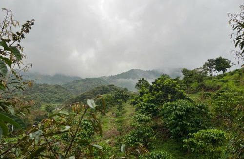Bao Lam Cabin | The Heaven Homestay