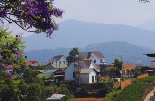 Lac Duong Apartment | Tim Retreat - Farm & Stay