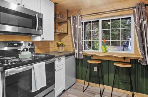 Ashford Cabin | Tiny Home A, just steps from Mt. Rainer Nat. Park w/firepit.