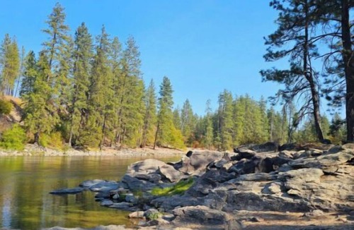 Post Falls Cabin | Trails End