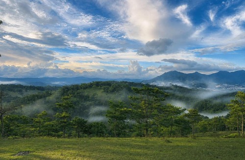 Da Lat House | Trang Trại Thông Non Farmstay