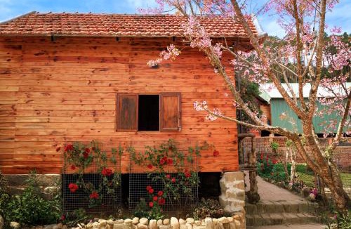 Kon Plong House | UME Homestay Măng Đen