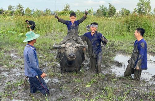 Tam Nong House | Việt Mekong Farmstay Tràm Chim