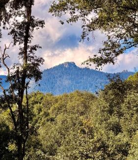 Omitlan de Juarez Villa | Villa 2 Senderó del Bosque