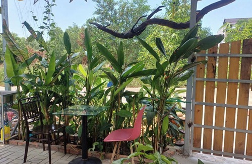 Ganh Dau Villa | VILLA GARDEN LUCKY HOME