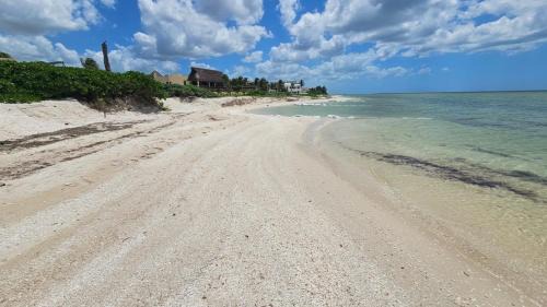 Chicxulub Puerto Apartment | Villas Aakal Petirojo