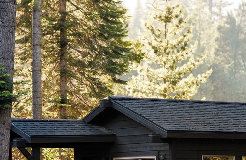 Fish Camp Cabin | Waybound Yosemite