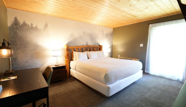 1 King + Mountain Retreat in Townsend