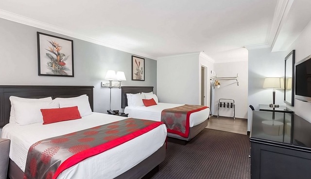 3 Comfortable Space Minutes from Top Attractions! in Temecula
