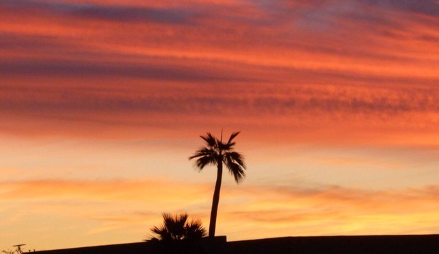 Bring your toothbrush! in Yuma