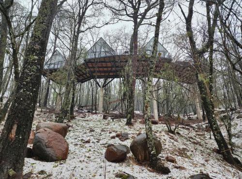 Cabaña Boreal, Punta del Bosque in Huasca de Ocampo