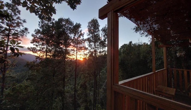 Cabaña en el Bosque de San José del Pacífico