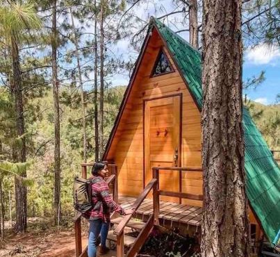 Cabaña privada en el bosque, cerca al rio Starlinkk
