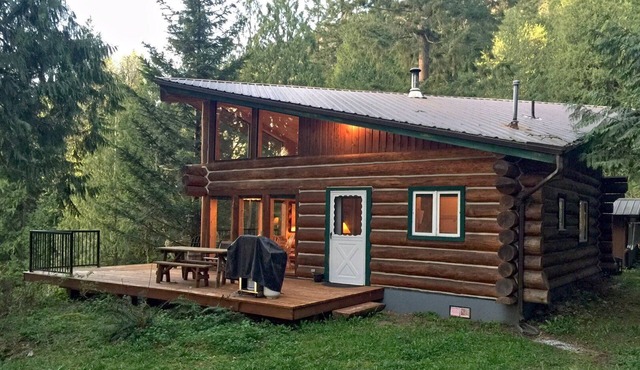 Cabin #97 - 'pinecone' Log Cabin at the Lake that is Pet-friendly! in Maple Falls