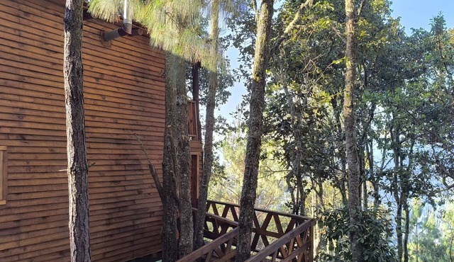 Cabin in San Jose del Pacifico Forest 5