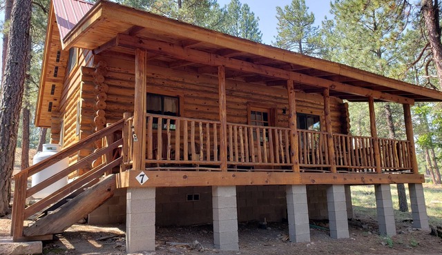 Circle Pine Ranch-"The Real Log Cabin Experience" in Alpine