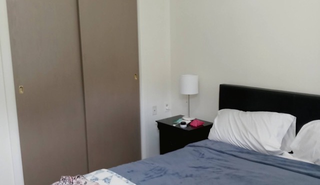 Cozy private apartment with short walk to Stadium and restaurants. in Pittsburgh