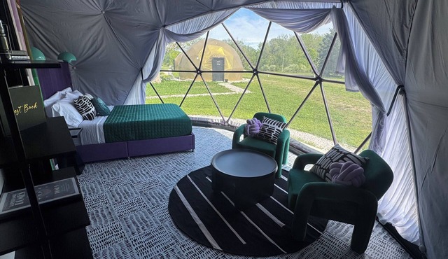 Dome 1: Modern Pop Paradise in South Haven