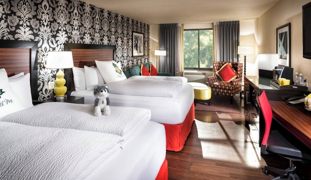 Ensemble 2 Queen Junior Suite - Staypineapple, The Maxwell Hotel, Seattle Center in Seattle