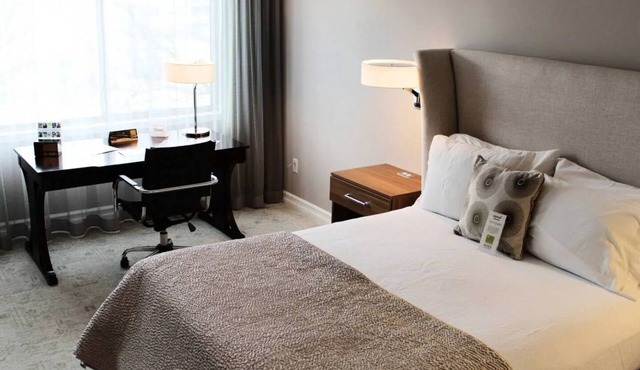 Executive Queen Room in Minneapolis Boutique Hotel in Minneapolis