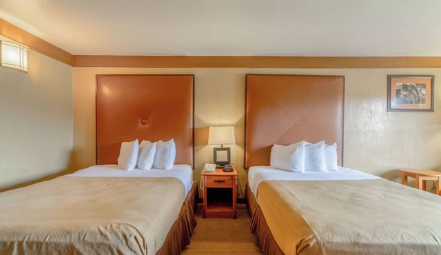 Four Practical Rooms w/Two Queen Beds For Value-Conscious Visitors in Beeville