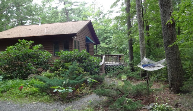 Fully equipped, romantic cabin for 2 in the Blue Ridge Mountains in Dyke