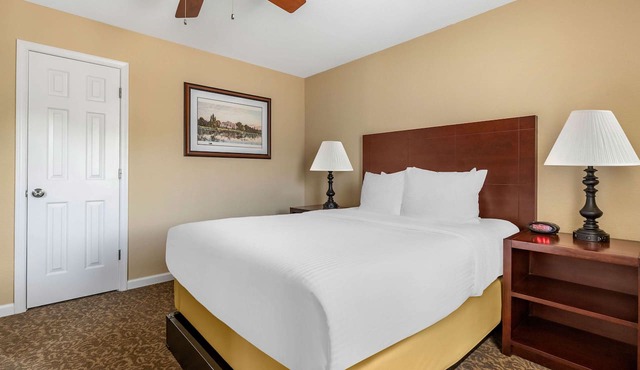 Fun Starts Here! Onsite Pool and Fitness Center! in Williamsburg