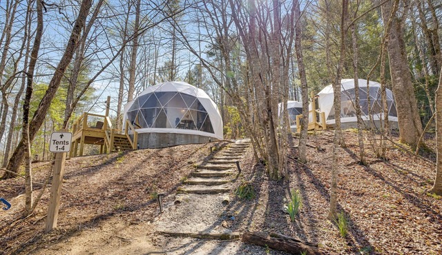 Geodesic Dome 3 in Brevard