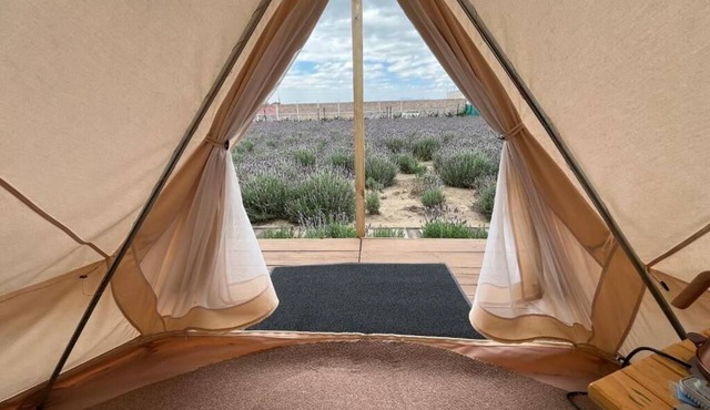 Glamping Rincón de Lavanda in Texcoco de Mora