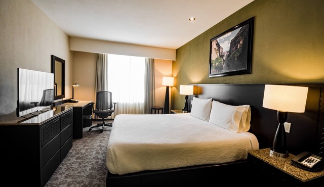 Hilton Garden Inn Tuxtla Gutierrez in Tuxtla Gutierrez