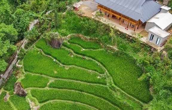 Hmong Mountain Homestay Sa Pa