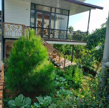 Homestay hichi bảo Lộc