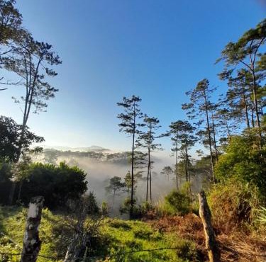 Homestay niem t'rị Măng Pên in Kon Plong