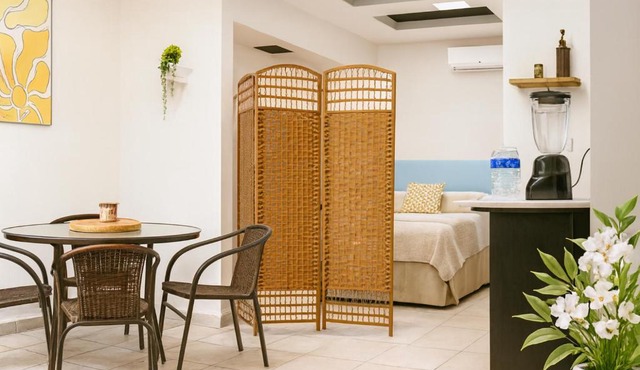 Hospedaje Aldana - Apartamento AMAL zona centro in Tuxpan de Rodríguez Cano