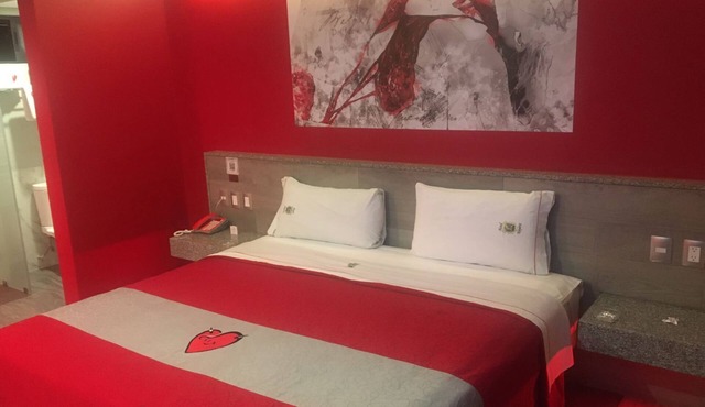 Hotel Nayarit - Solo Adultos in Mexico City
