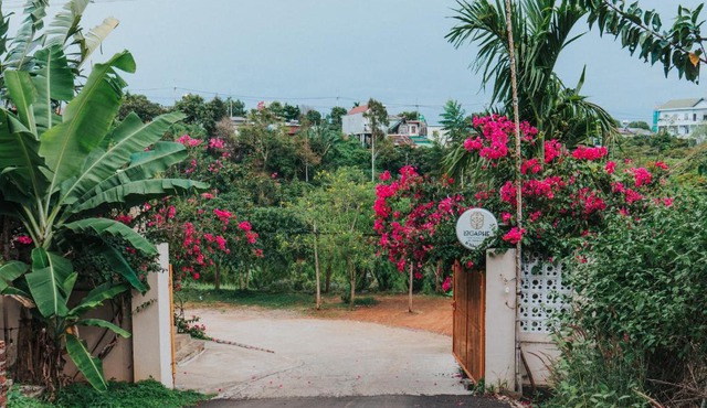 Laca homestay